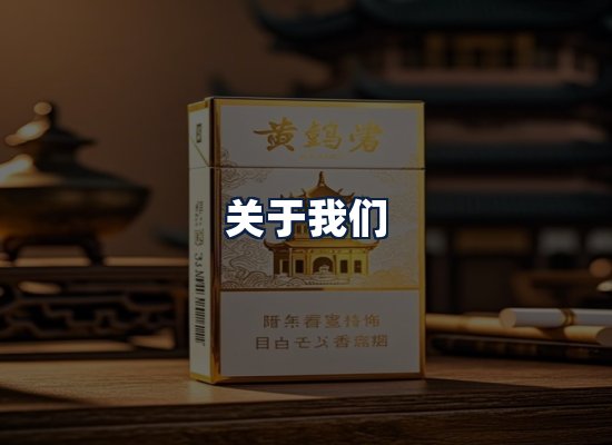 关于我们